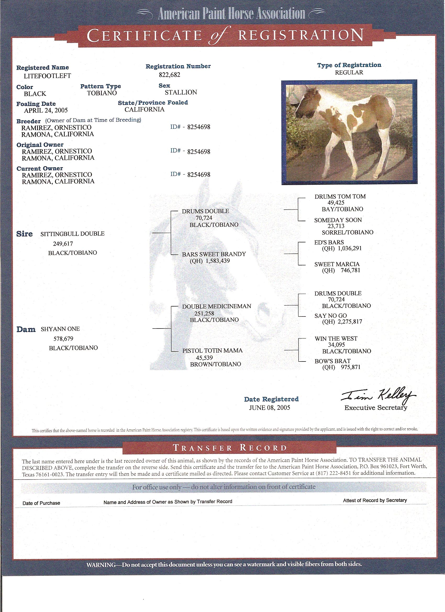 Lightfoot pedigree certificate